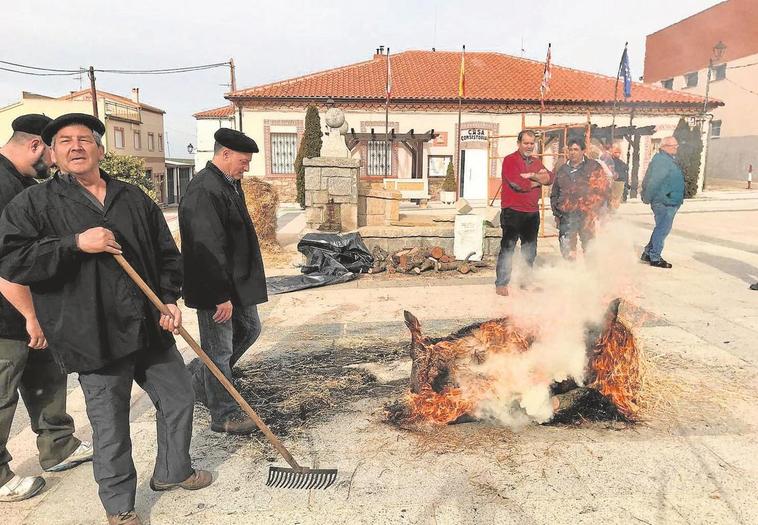 Momento del chamuscado del animal sacrificado en la matanza.