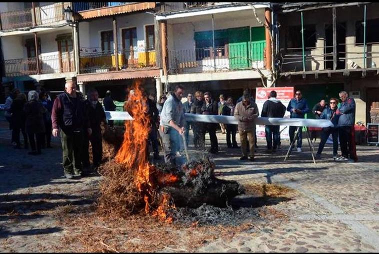 Matanza tradicional en Cepeda.