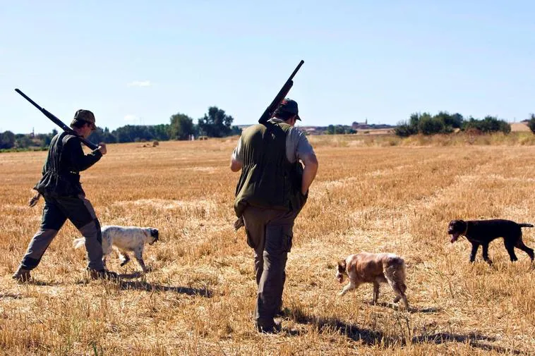 Un cazador acompañado de un perro en el campo salmantino.