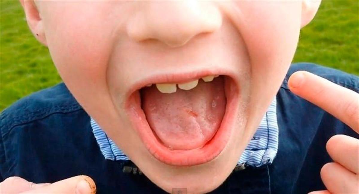 ¿Por qué no debes tirar los dientes de leche de tu hijo?