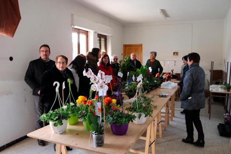 Villoruela abrirá la campaña el día 14 con el mercadillo de venta de plantas.