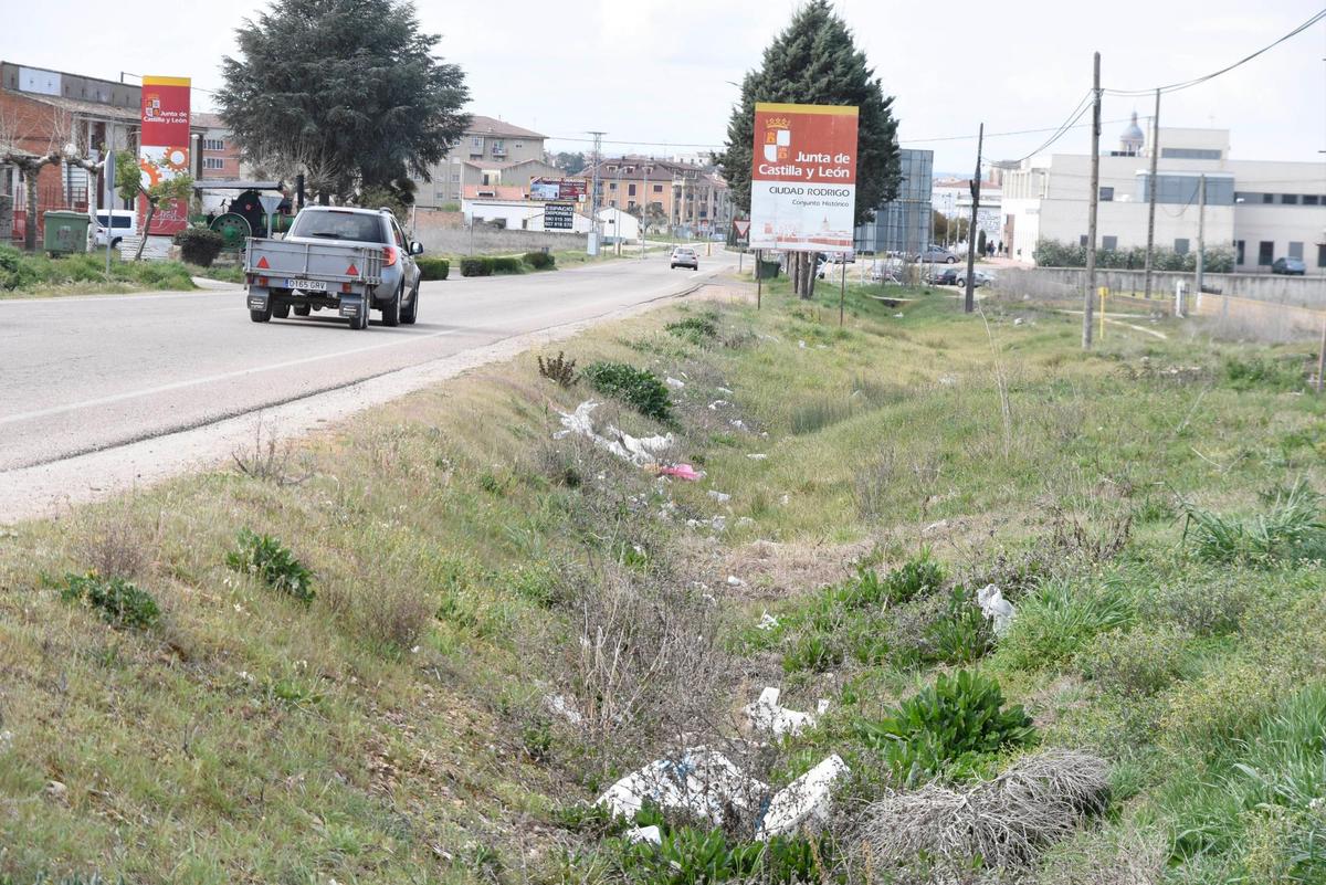 Las malas hierbas apenas logran ocultar la cantidad de residuos acumulados en la avenida de Salamanca.