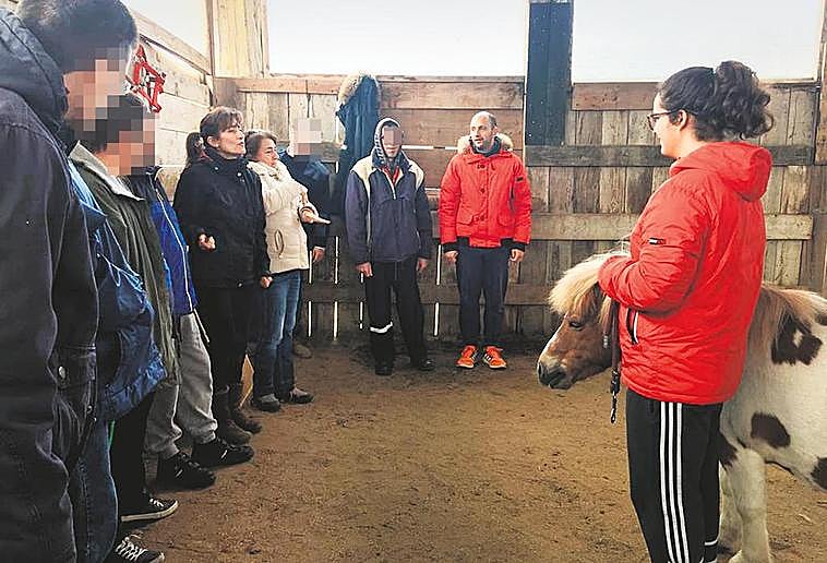 Una de las clases prácticas donde se observa el comportamiento de los caballos y se aprende a manejarlos.