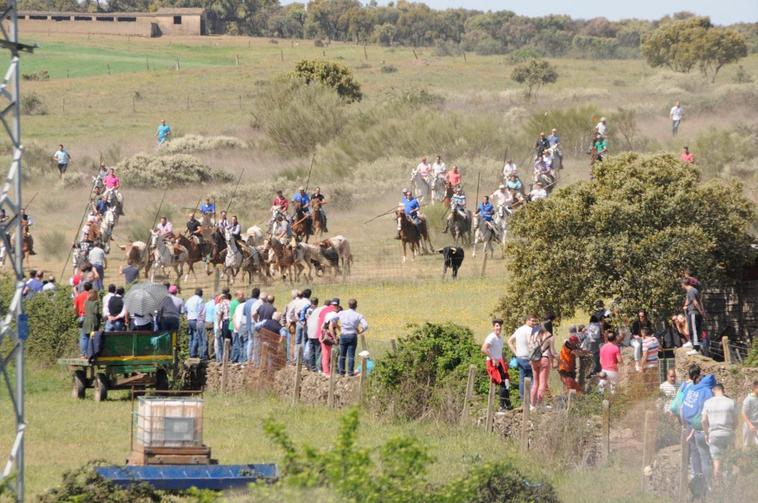 El encierro a caballo es uno de los grandes atractivos.