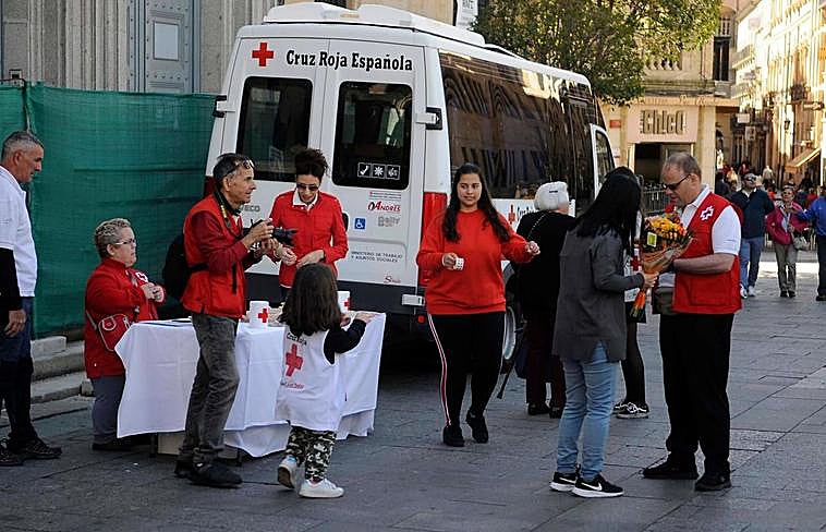 Voluntarios en el Día de la Banderita.