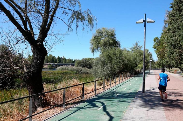 Entorno del puente Enrique Estevan.