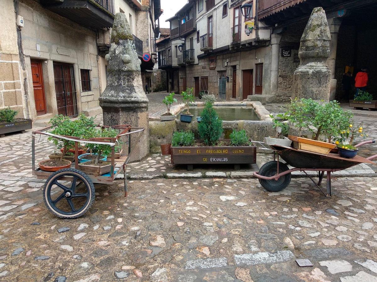 En grupo o de forma individual las instructivas jardineras dan un nuevo aire al pueblo.