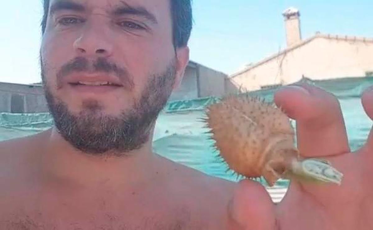 Luis Mántaras en el vídeo.