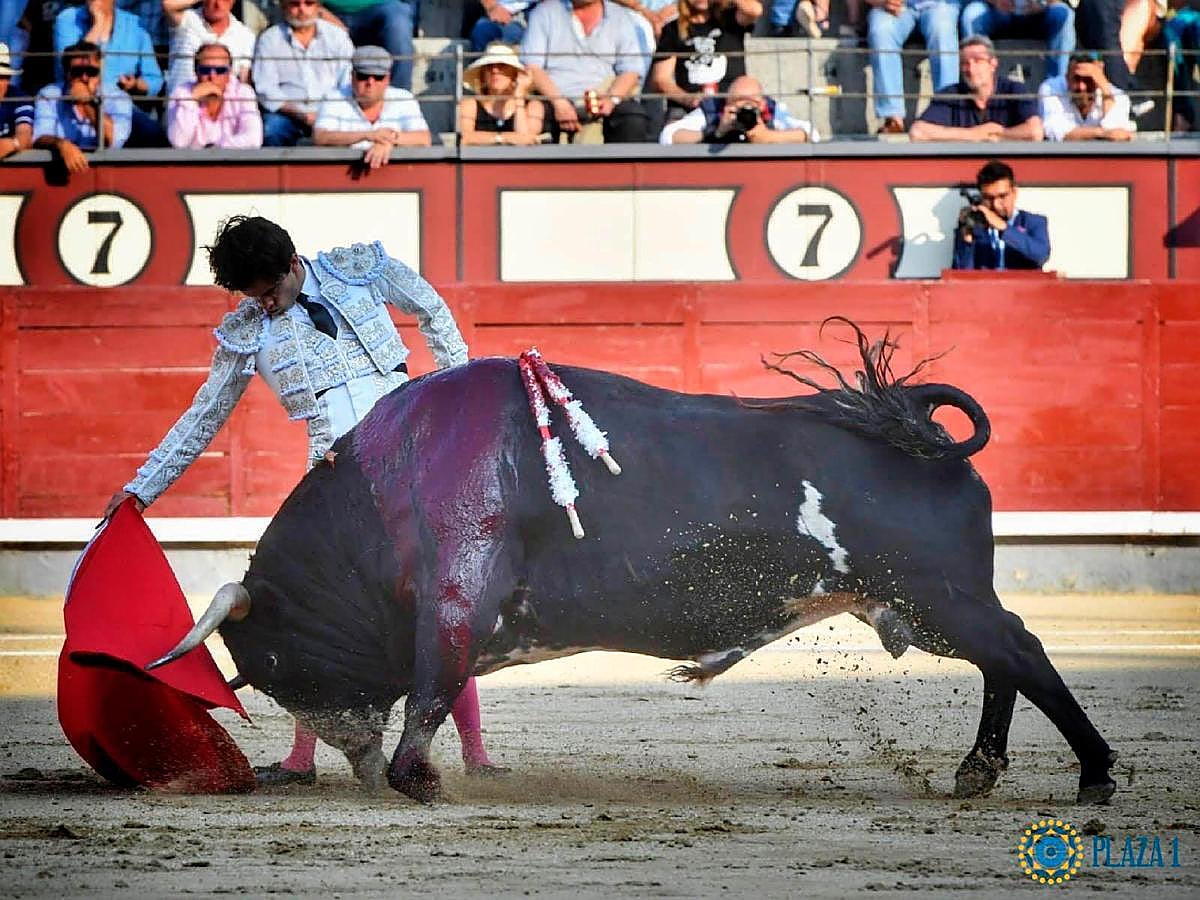 Derechazo de Juan del Álamo.