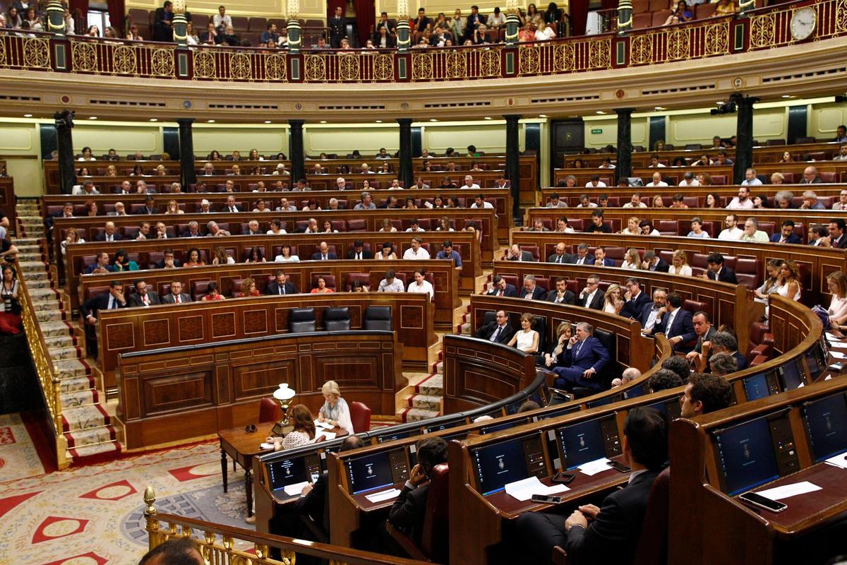 El Congreso de los Diputados.