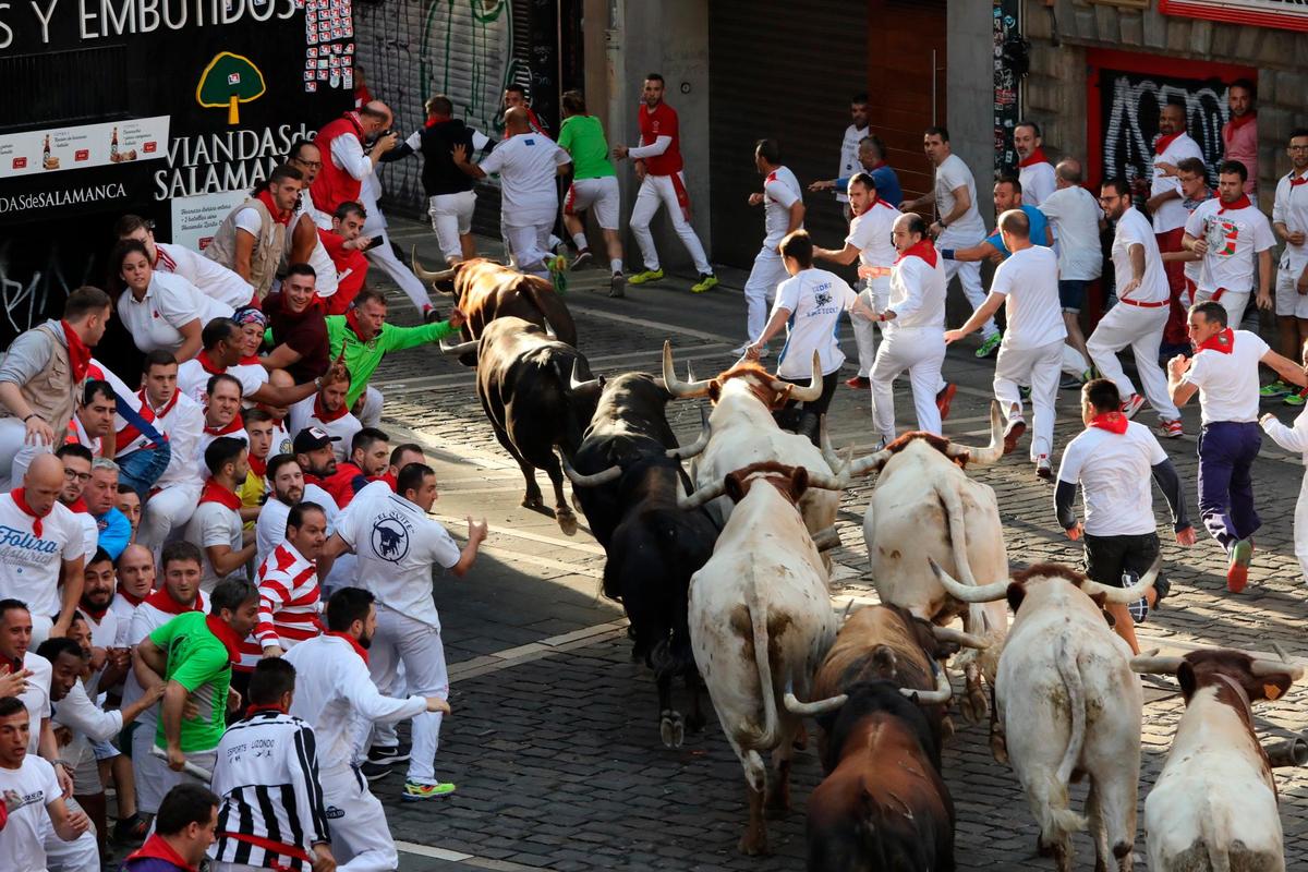 Los toros de La Palmosilla recorriendo las calles de Pamplona.