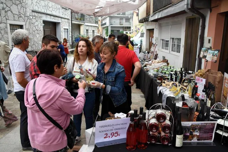 La XXXV Feria de la Cereza presenta los productos de la tierra de Madroñal