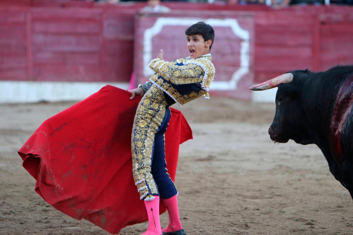 Desplante de Diosleguarde ante un novillo.