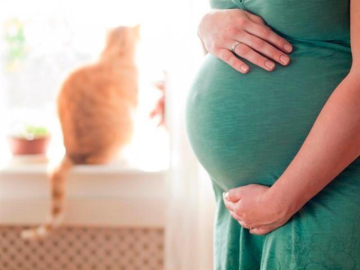 Una embarazada agarrando su barriga, con su gato de fondo.