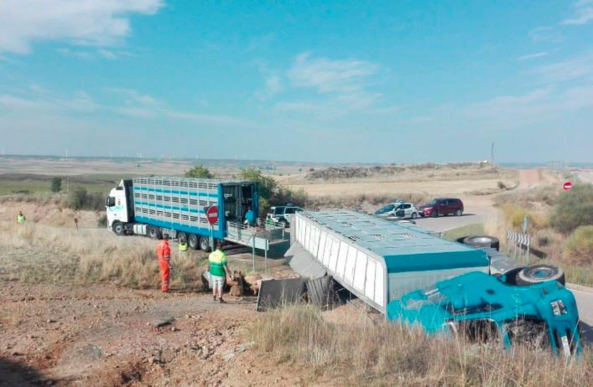 El suceso tuvo lugar en una rotonda de la localidad de Gómara y el conductor resultó ileso.