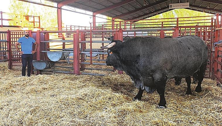 José Luis Gutiérrez Bernal,  junto al campeón.
