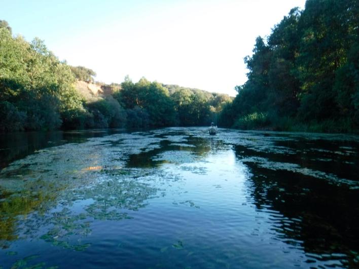 Estado del río Tormes en uno de sus tramos trucheros.