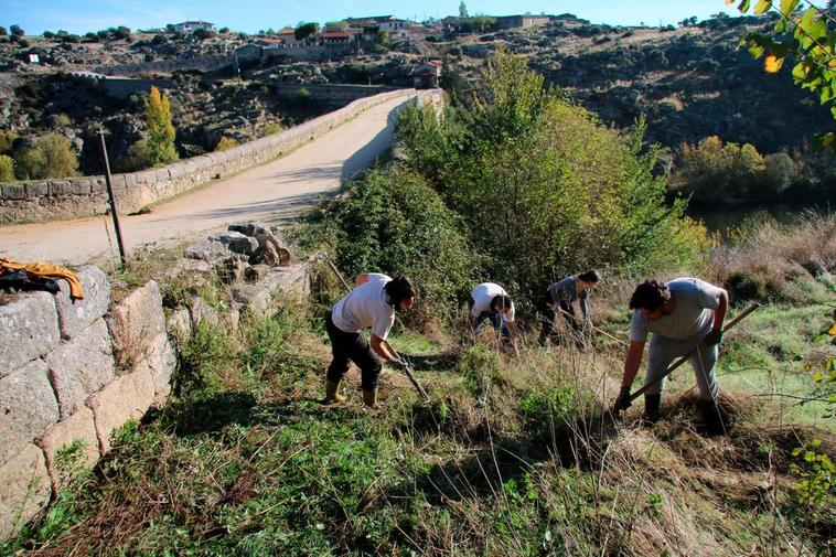 Los voluntarios de la brigada medioambiental junto al Puente Viejo.