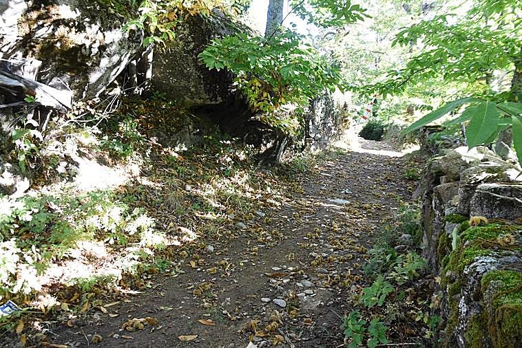 Los castaños se muestran espléndidos y llenos del colorido del otoño en el entorno natural de La Alberca
