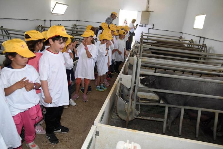 Los niños ganadores de la categoría mural del pasado año disfrutaron de una jornada en la dehesa de Copasa en Trabadillo.