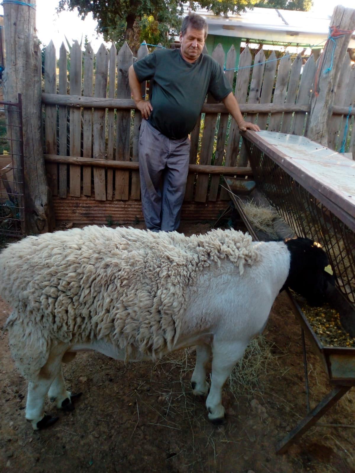 Adiós al último pastor de El Cabaco