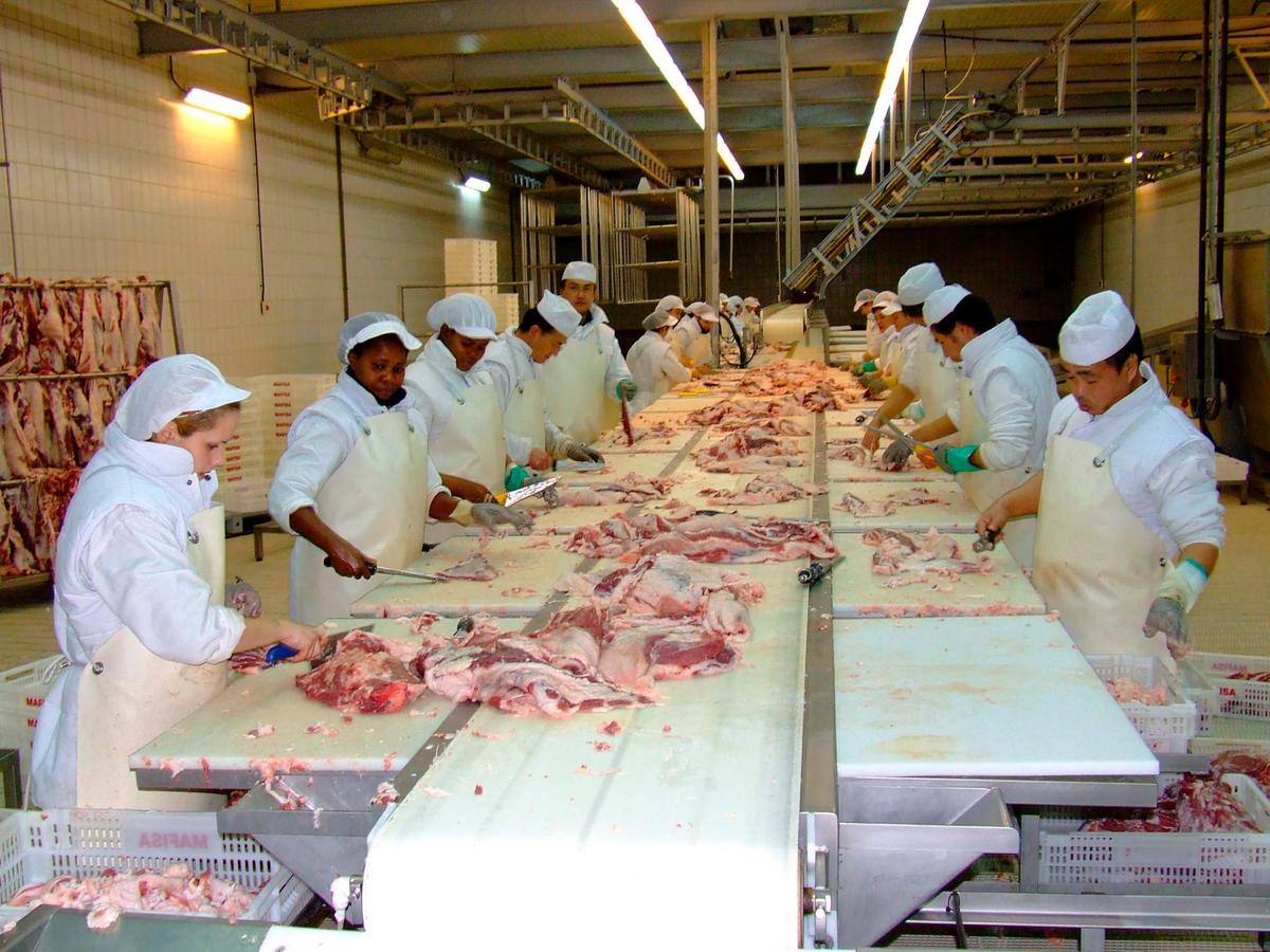 Trabajadores extranjeros en una sala de despiece de la provincia de Salamanca.