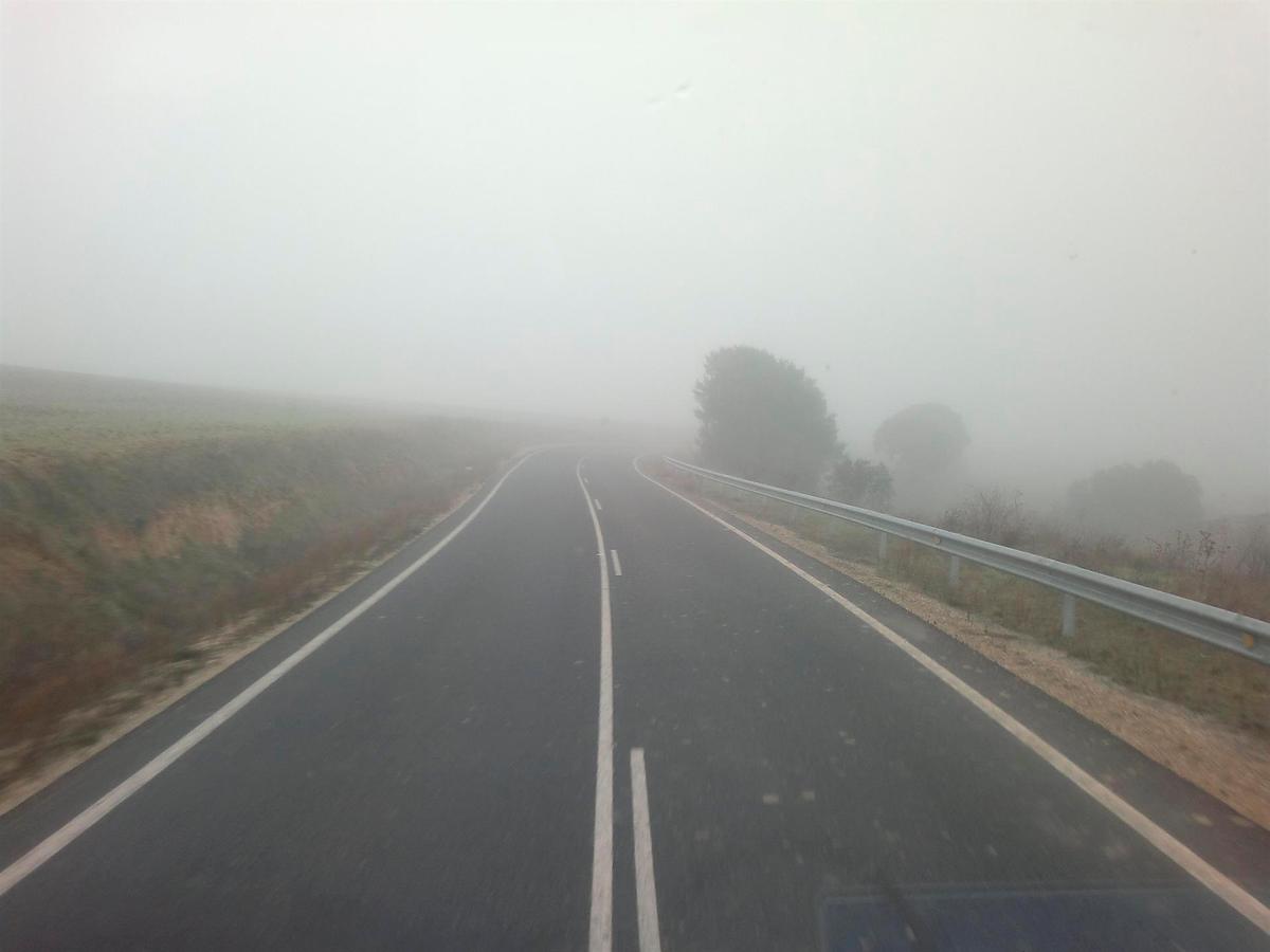 Niebla en la carretera.