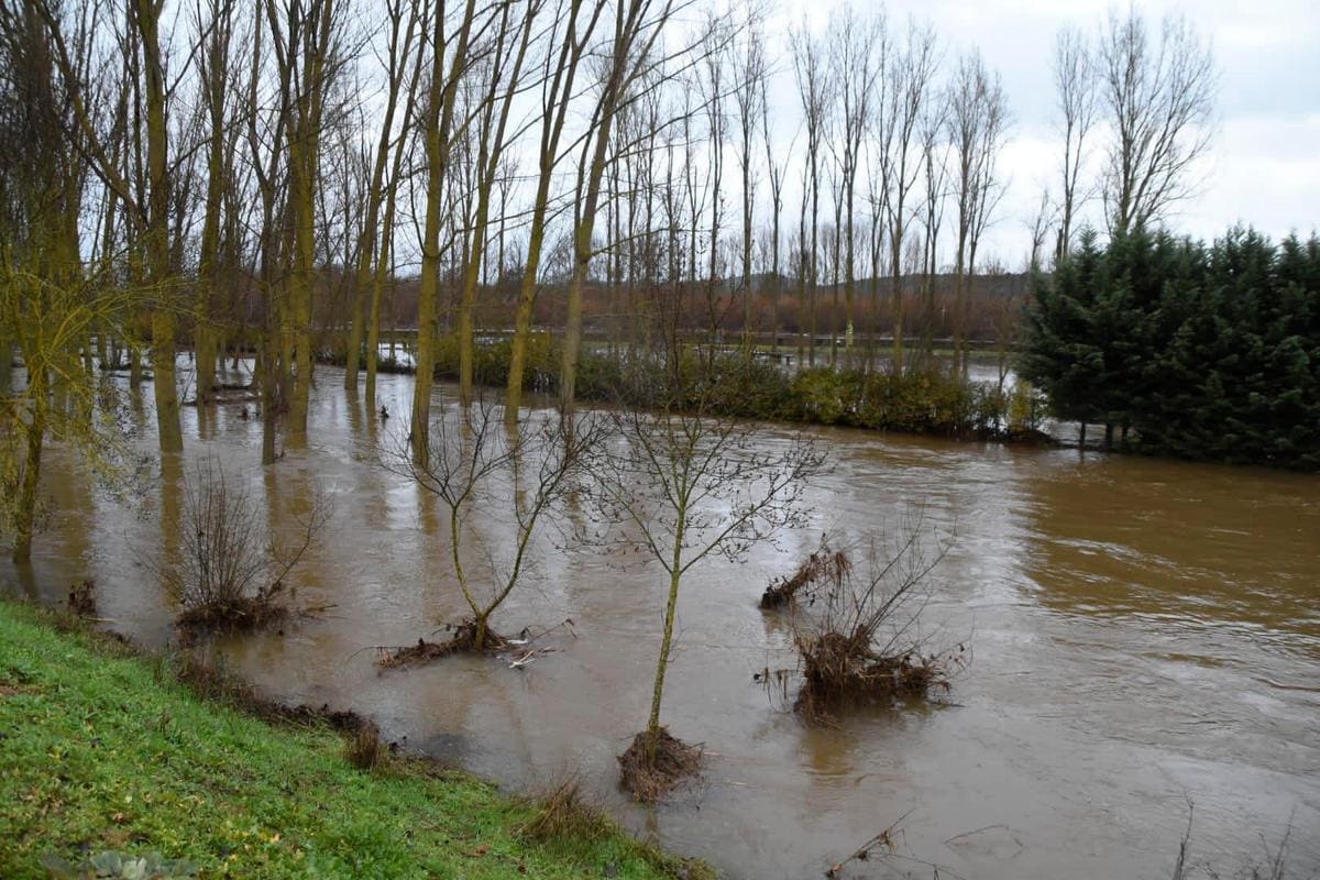 Crecida del río Águeda en Ciudad Rodrigo. | Fotos: CASAMAR