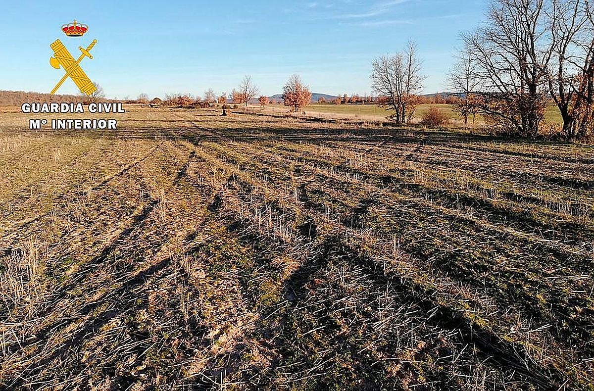 Marcas de neumáticos en el campo.