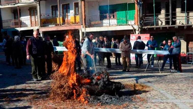 Matanza tradicional en Cepeda.