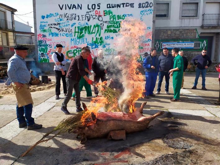 Momento del chamuscado a la forma tradicional de Los Santos con las ajulagas.