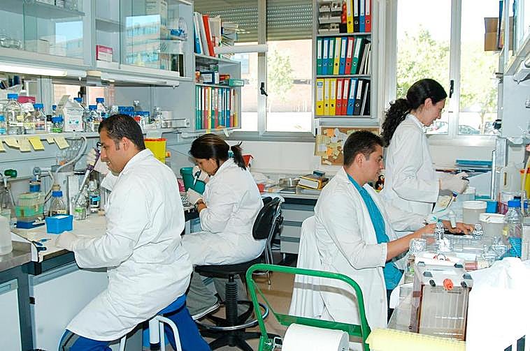 Laboratorios del Centro de Investigación del Cáncer.