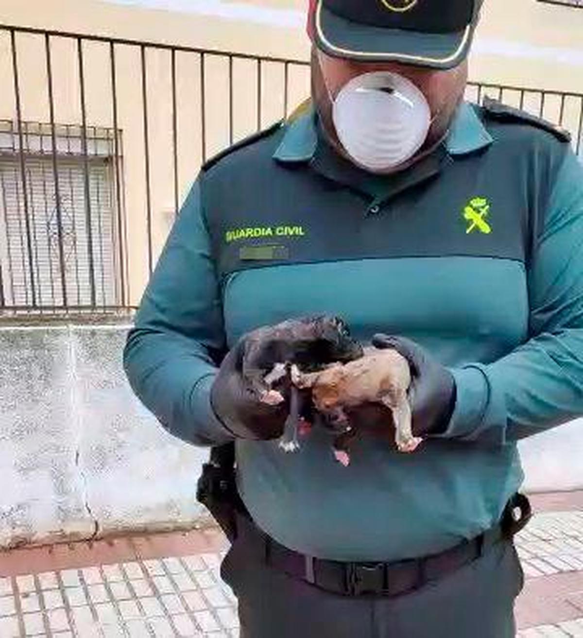 Un guardia civil con los galgos rescatados.