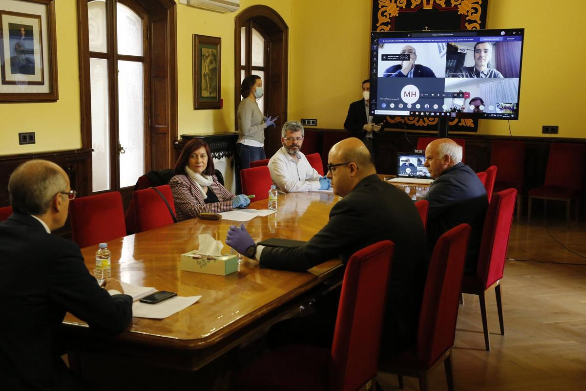 Pleno celebrado de forma telemática de la Diputación de Salamanca.