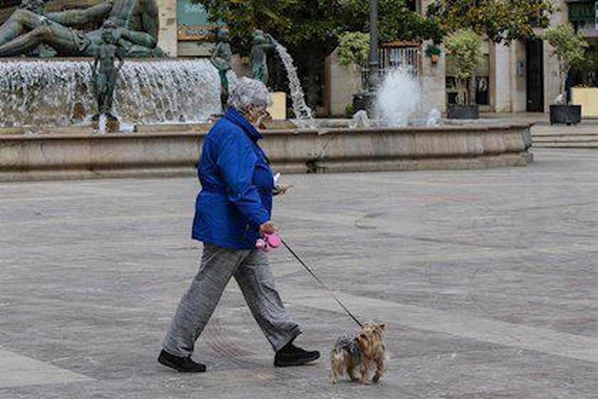 Este es el horario en el que puedes pasear a tu perro si vives en esta ciudad de Castilla y León