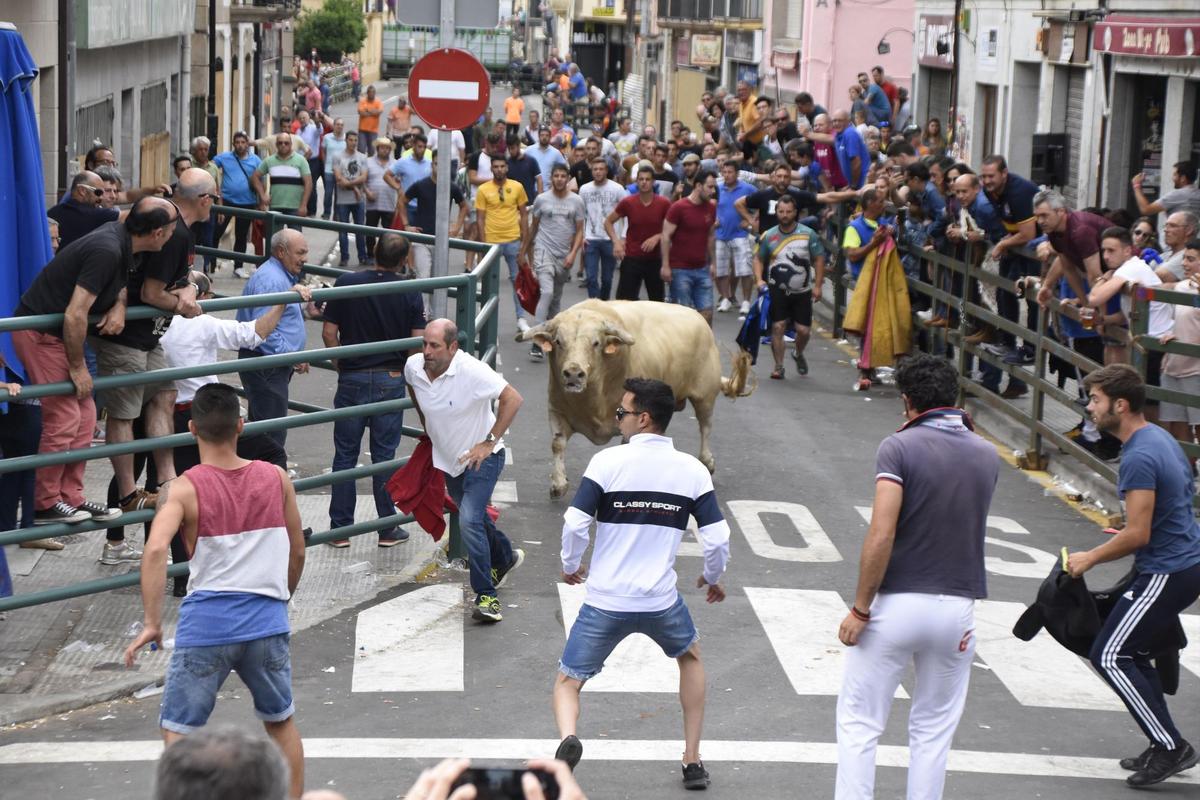 Masiva participación de público y corredores en el Toro Fin de Corpus de Vitigudino del pasado año.