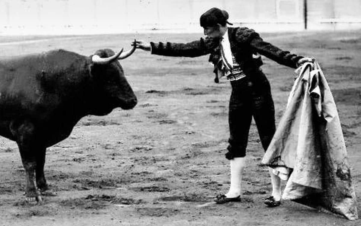 Joselito (Gallito, como sobrenombre taurino) toca el pitón izquierdo de un toro tras pararlo de capa.