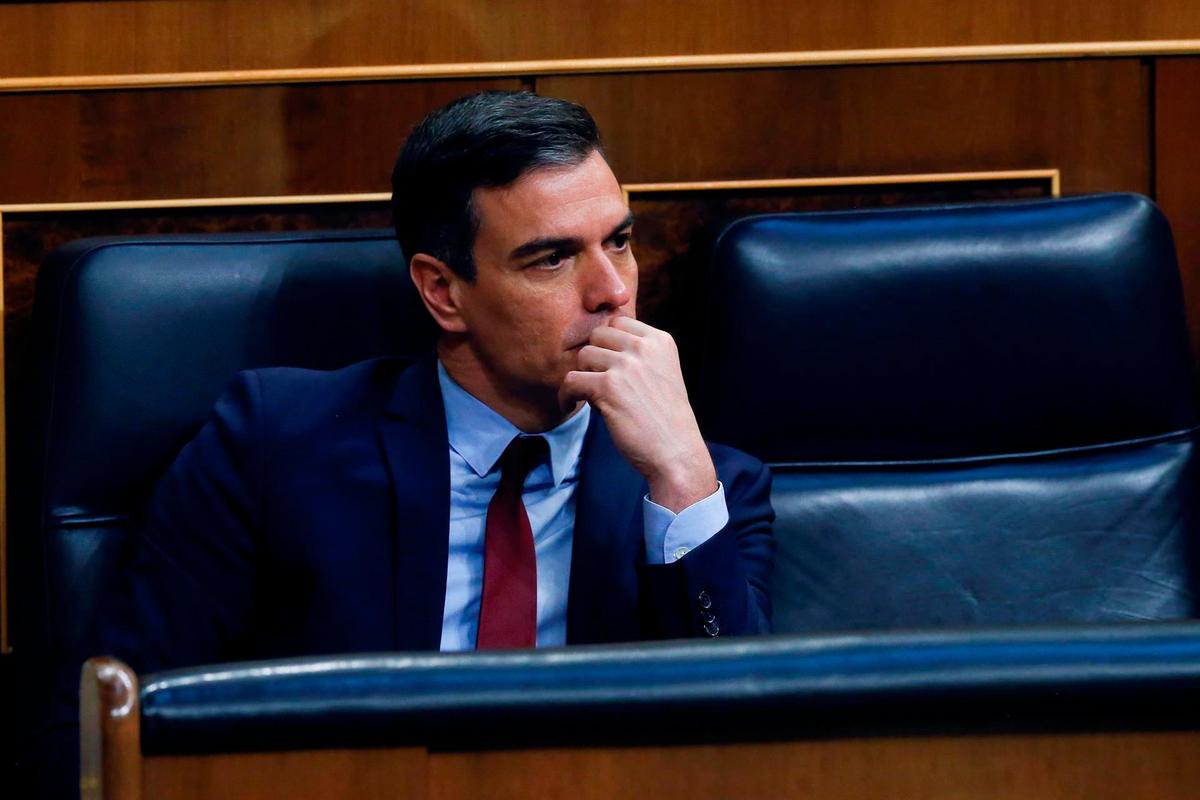 Pedro Sánchez, en el Congreso.