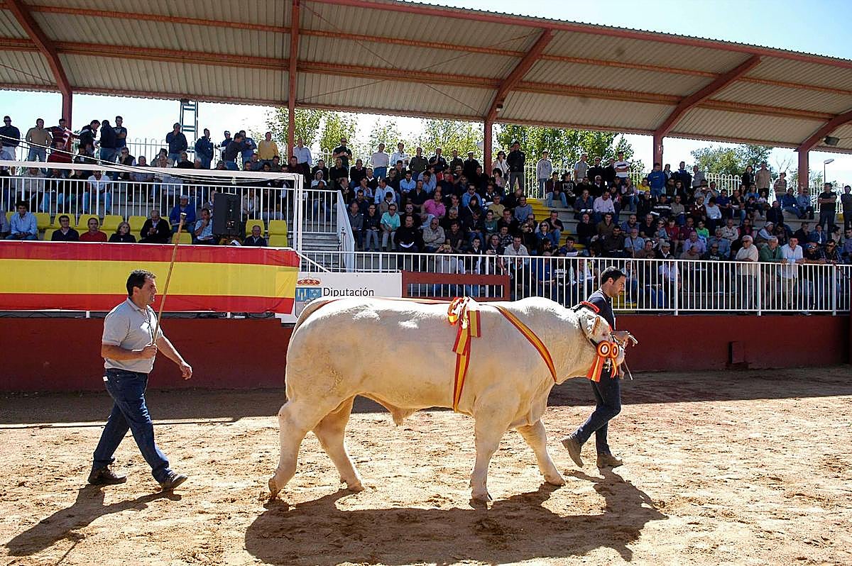 El anillo de exhibiciones acogerá este año los concursos además de las subastas.