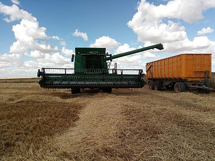 Cosechadora de Juan Pablo Herrera en la zona de Cantalapiedra.