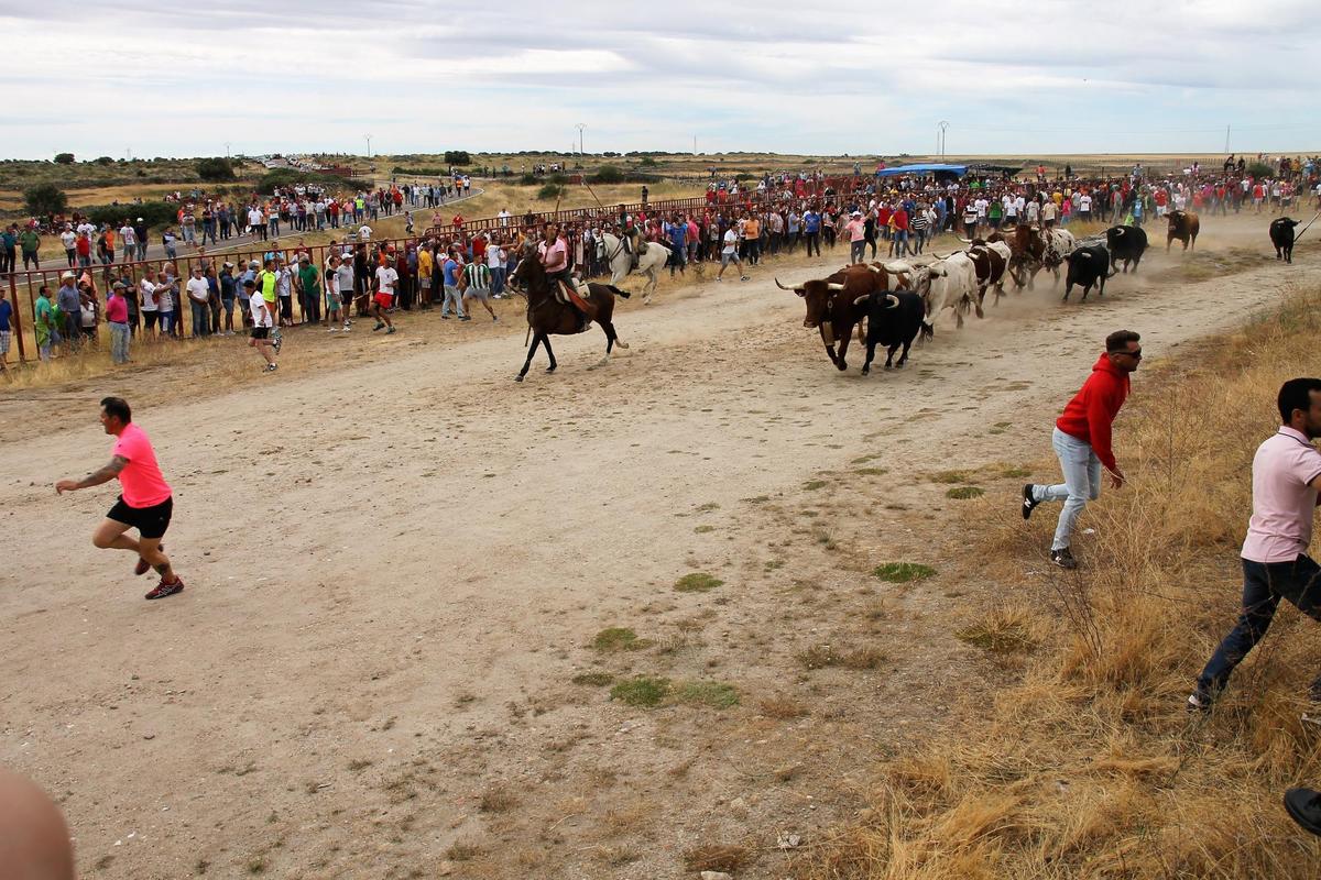 Público, caballistas y público a pie durante uno de los Espantos de Ledesma.