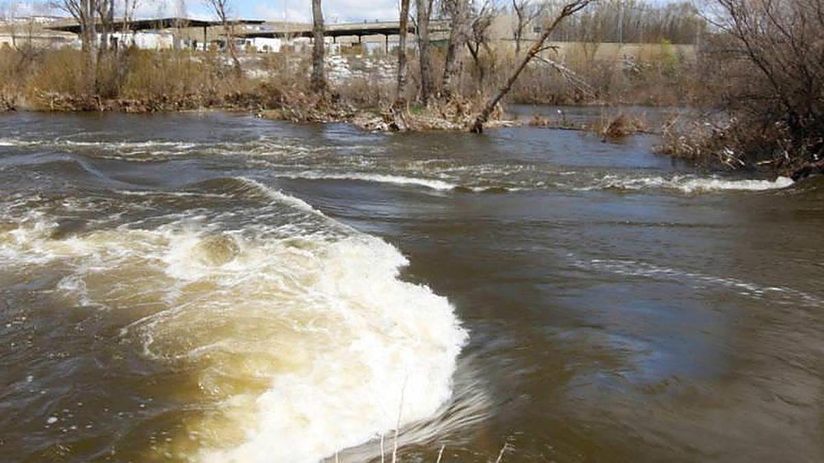 Imagen de la pesquera de Tejares. | ARCHIVO