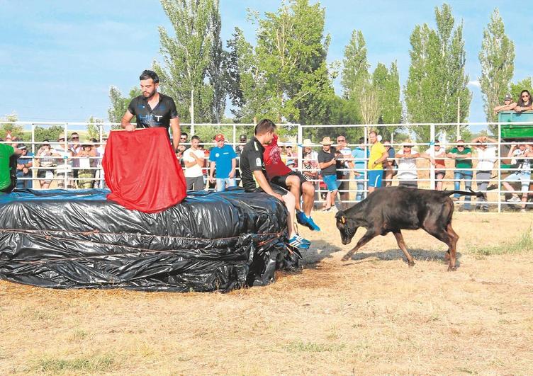 Las vaquillas cada año atraían a mucho público.