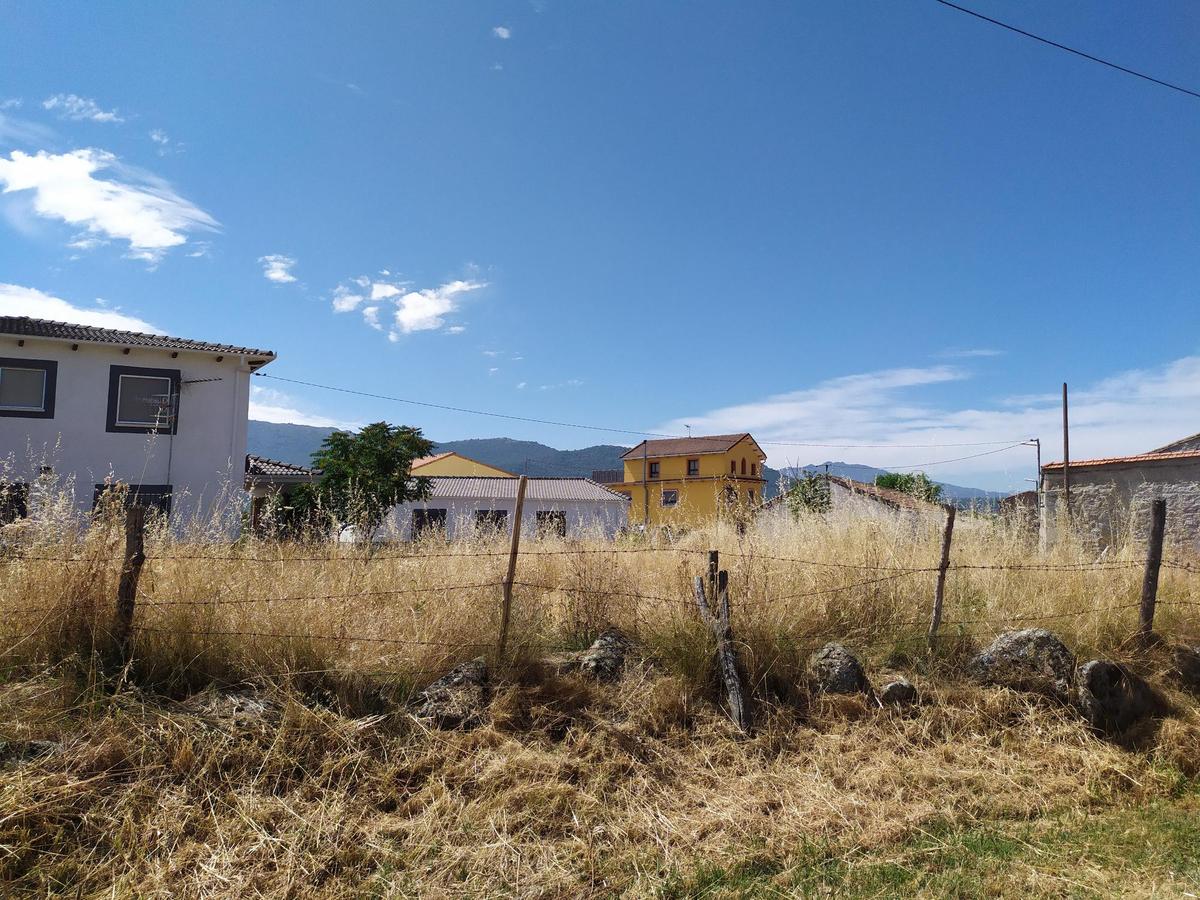 Imagen de una parcela llena de pasto junto a las viviendas en la localidad de Peromingo.
