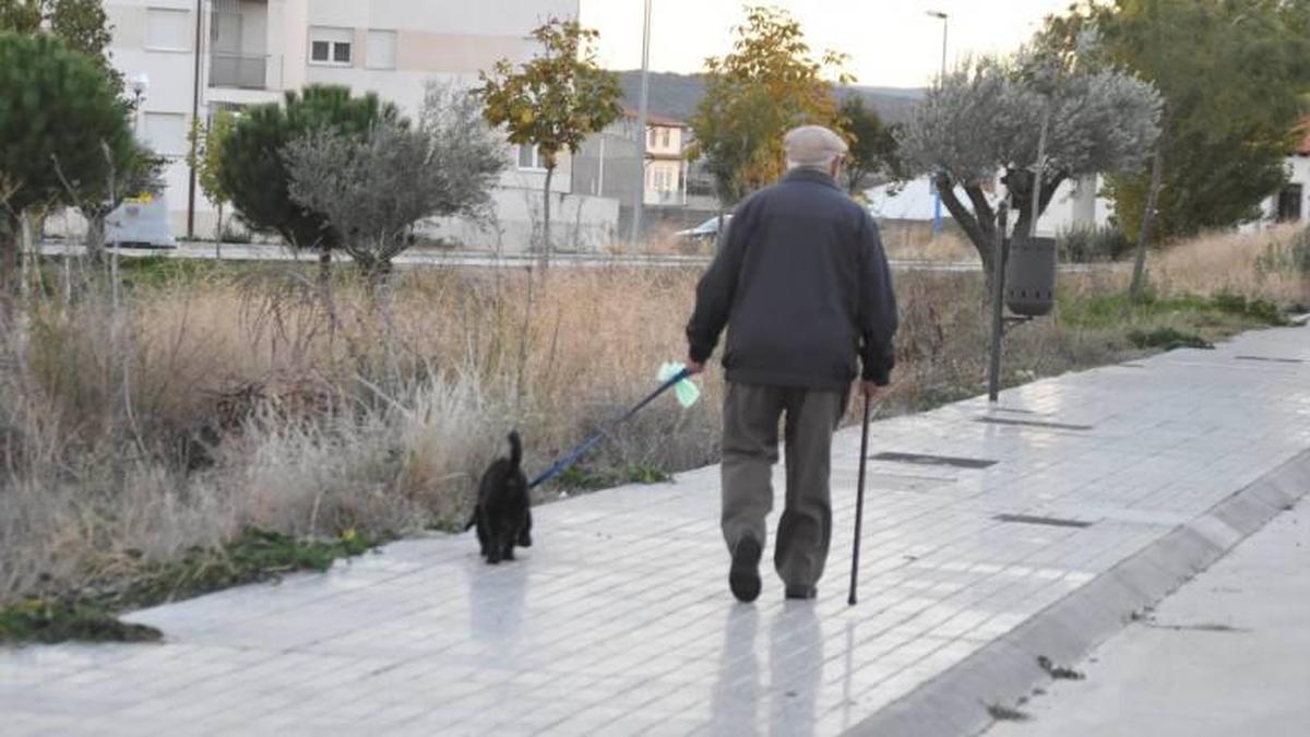 Un anciano paseando su perro en Salamanca.