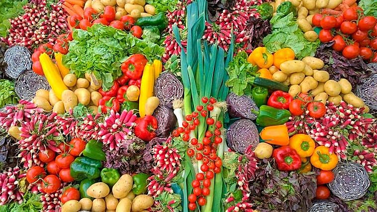 La subvención creará 985 empleos nuevos.