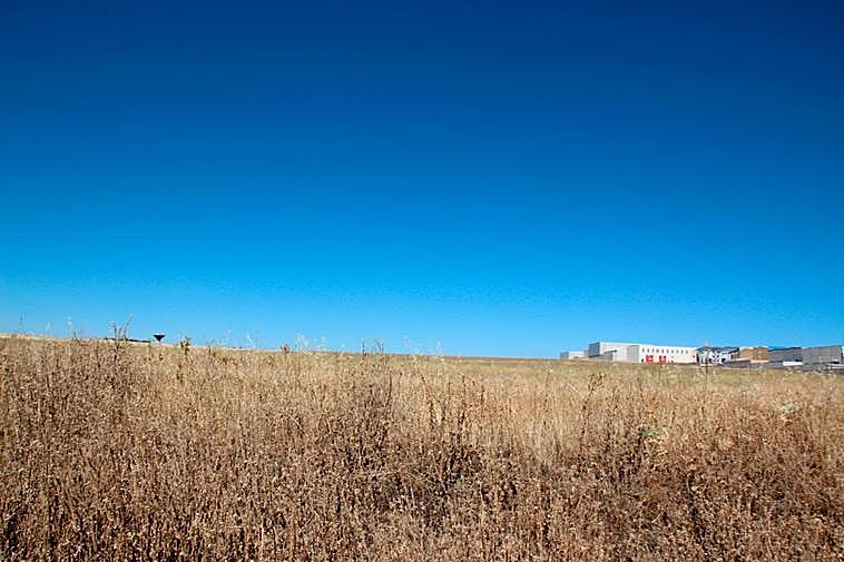 Terrenos donde se llevará a cabo la ampliación del polígono El Montalvo III en Carbajosa de la Sagrada.