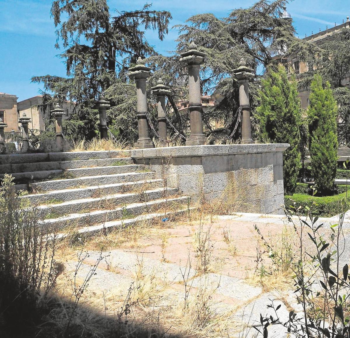 La hierba que ha proliferado durante el estado de alarma en el atrio de la Catedral. | FOTOS: ALMEIDA