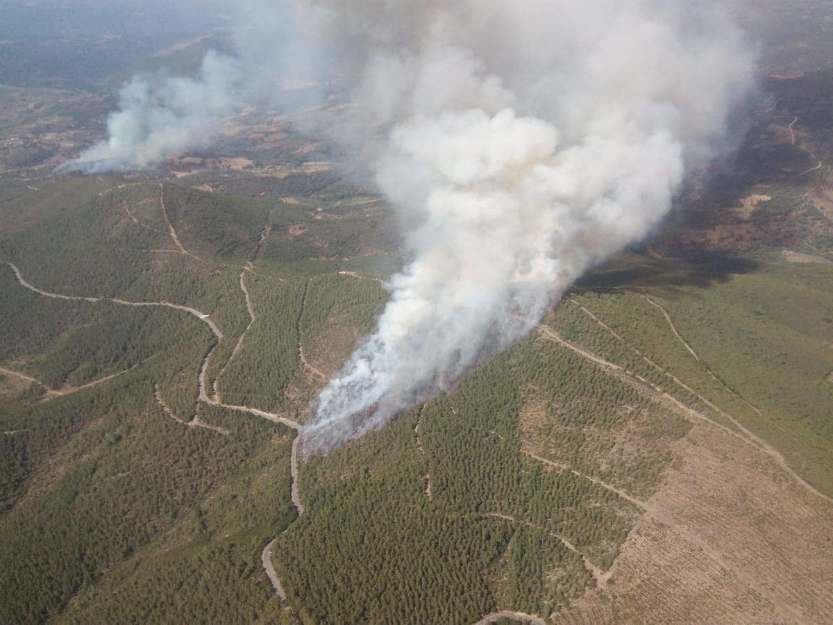 Los focos activos del incendio entre Lagunillas y Valdelageve vistos desde el aire. | AT_Brif