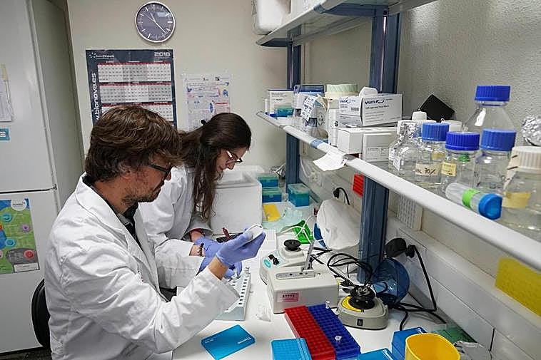 Equipo de investigación sobre alergias dirigido por Ignacio Dávila.